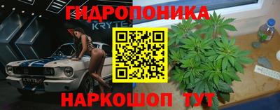 скорость Гусь-Хрустальный