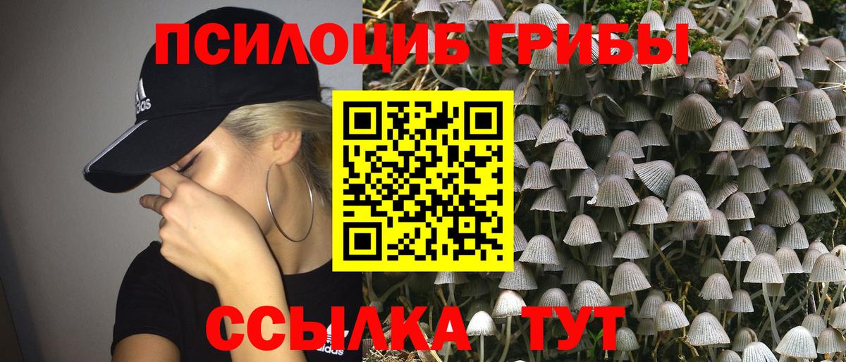 Псилоцибиновые грибы Magic Shrooms  Вход с VPN  Кандалакша  Псилоцибиновые грибы прущие грибы 
